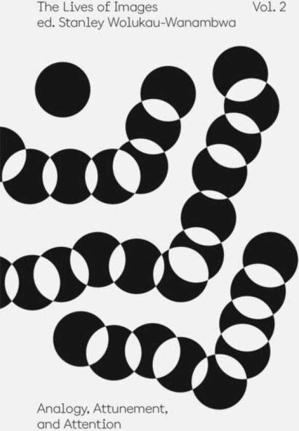 The Lives of Images, Vol. II: Analogy, Attunement, and Attention