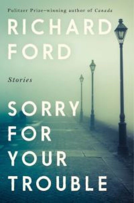 Sorry for your trouble av Richard Ford
