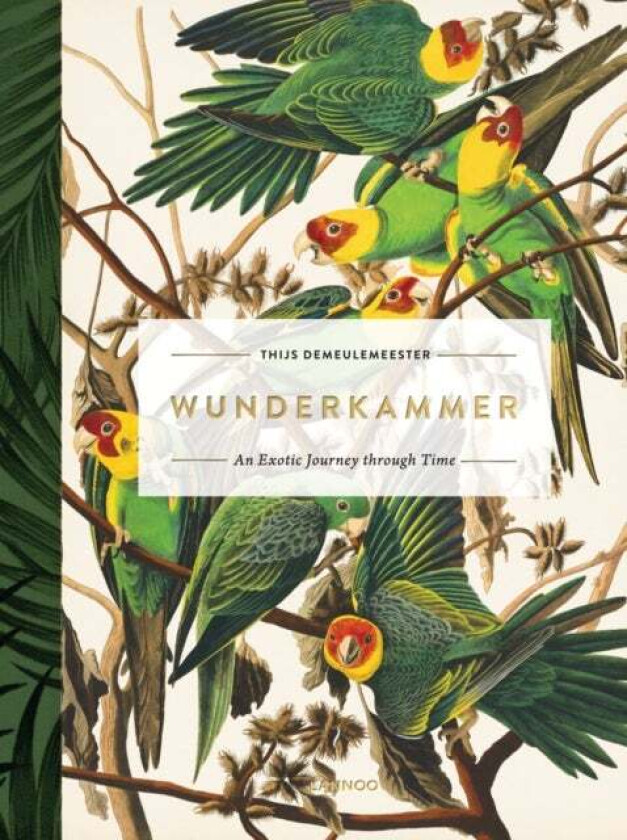 Wunderkammer av Thijs Demeulemeester