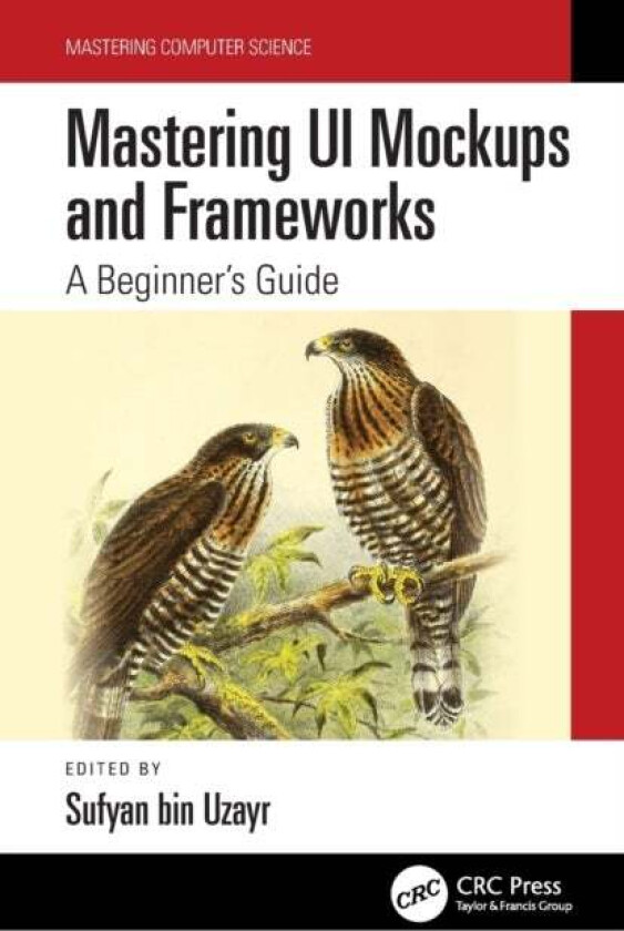 Mastering UI Mockups and Frameworks