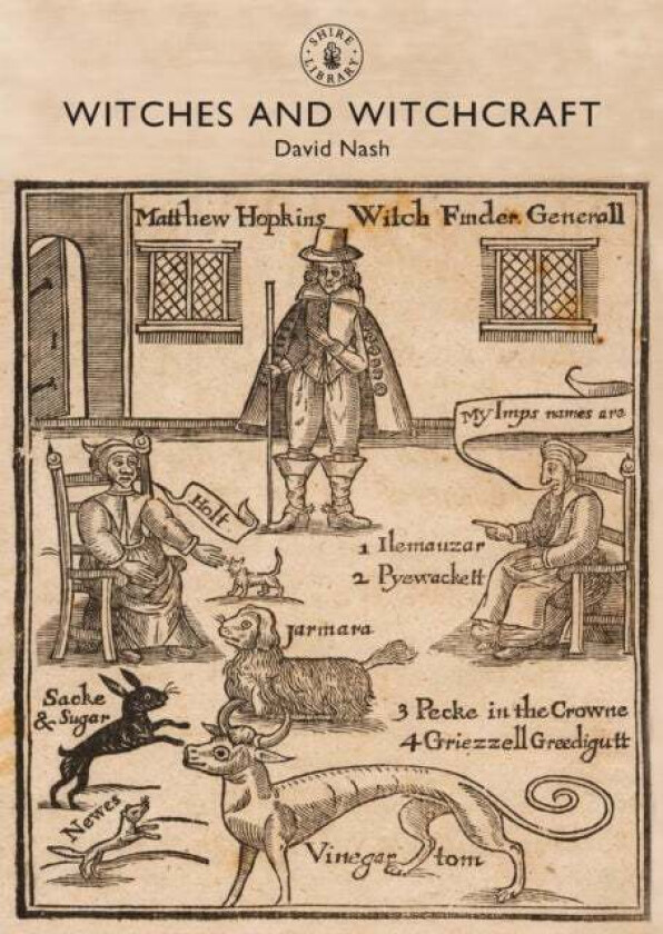 Witches and Witchcraft av Professor David Nash