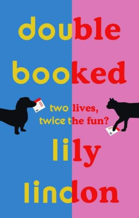 Double Booked av Lily Lindon