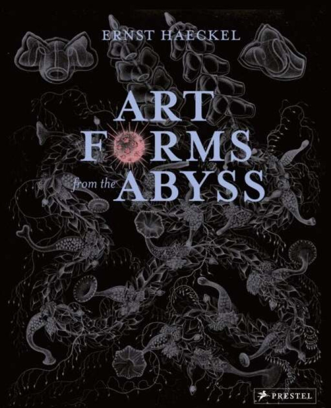 Art Forms from the Abyss av Peter J Le B Williams, Dylan W. Evans, David J Roberts, David Thomas