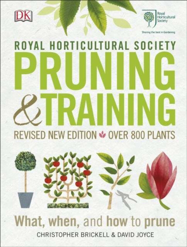 RHS Pruning and Training av Christopher Brickell, David Joyce