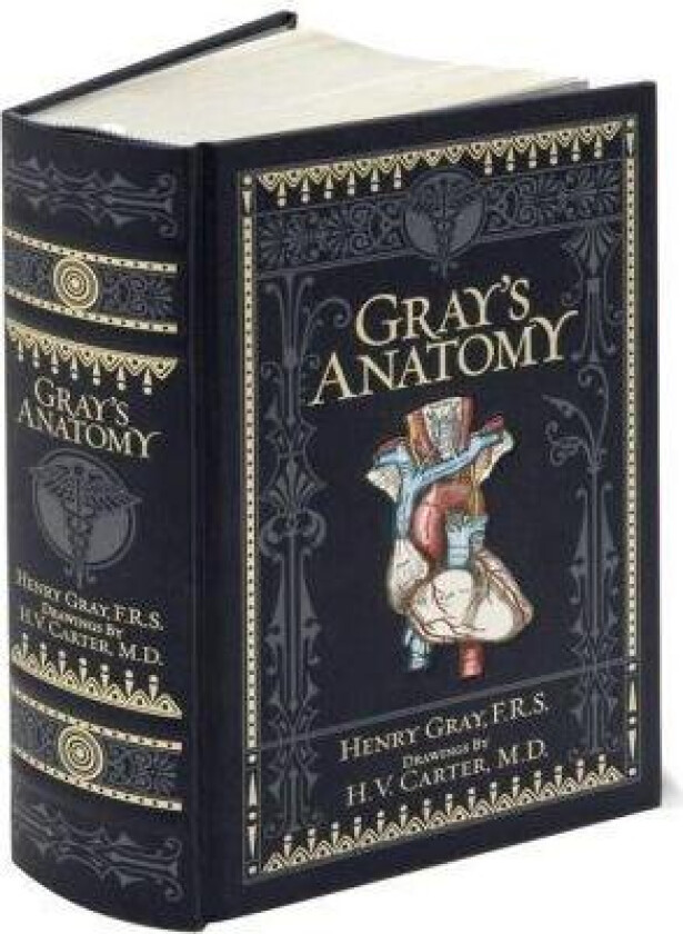 Gray's Anatomy (Barnes & Noble Collectible Editions) av Henry Gray