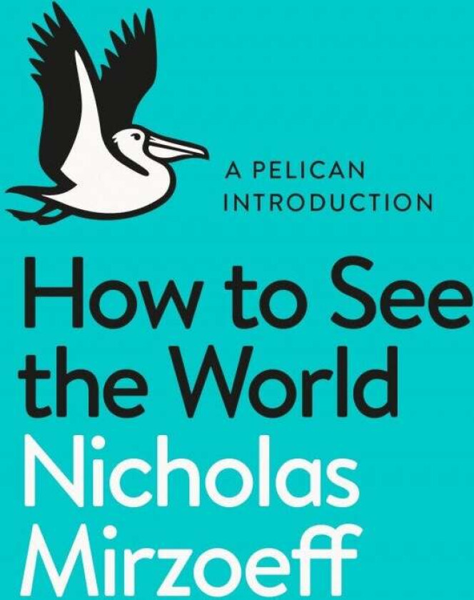 How to See the World av Nicholas Mirzoeff