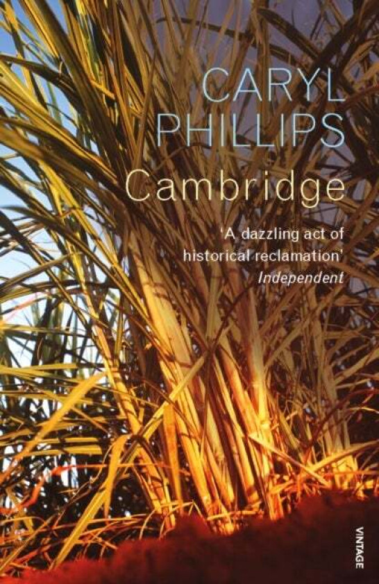 Cambridge av Caryl Phillips