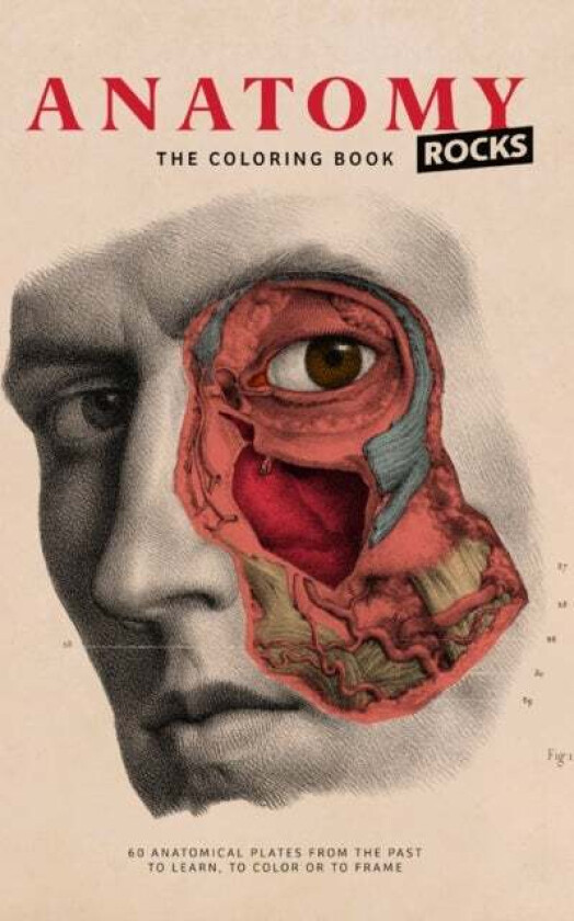 Anatomy Rocks: The Coloring Book