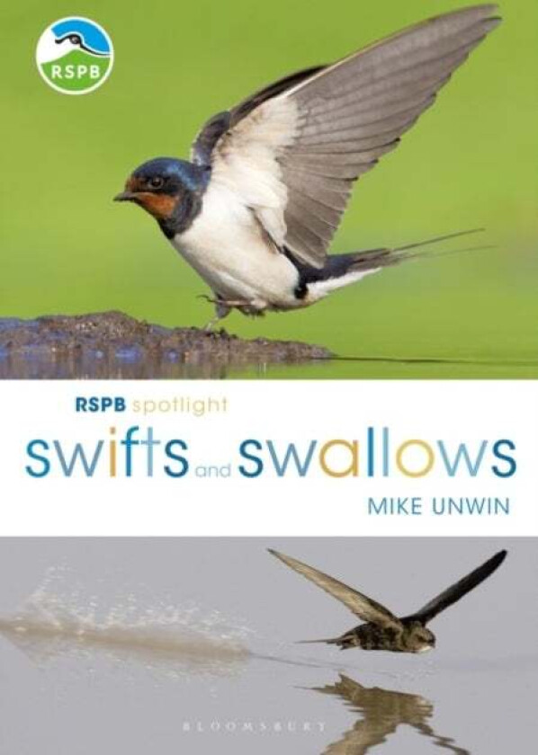 RSPB Spotlight Swifts and Swallows av Mike Unwin