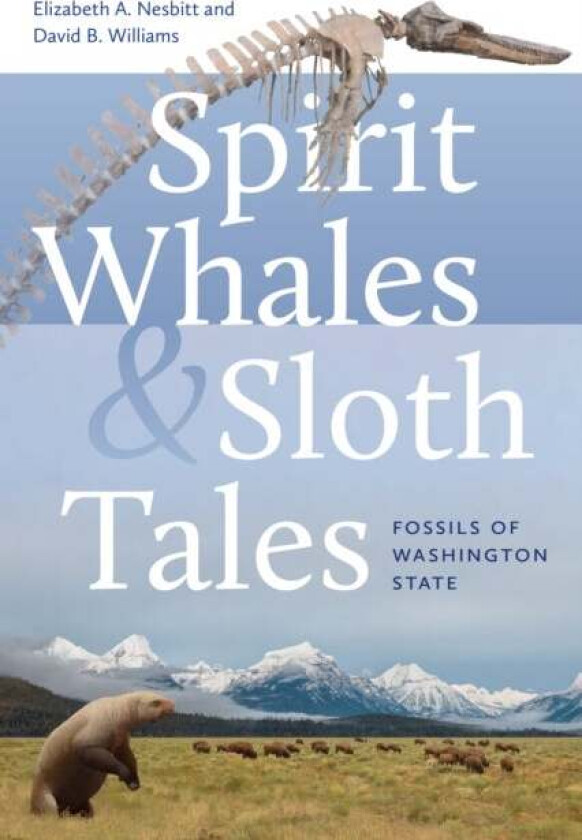 Spirit Whales and Sloth Tales av Elizabeth A. Nesbitt, David B. Williams