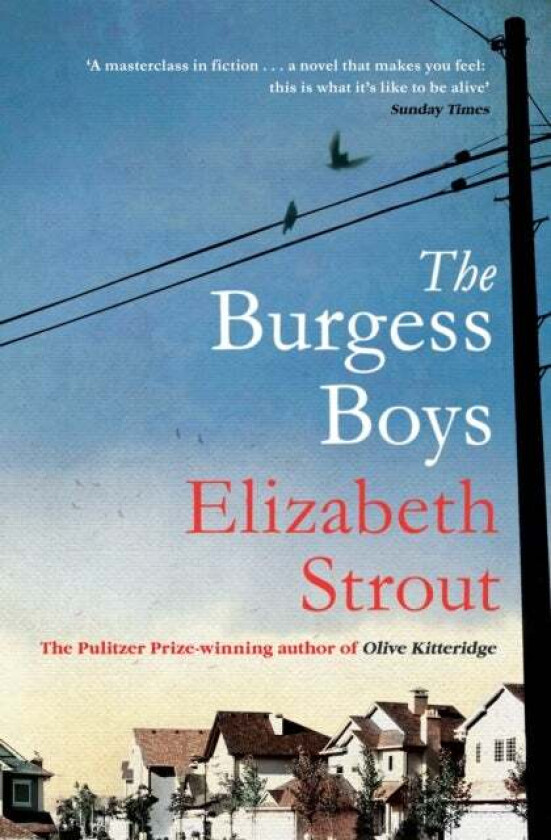The Burgess Boys av Elizabeth Strout