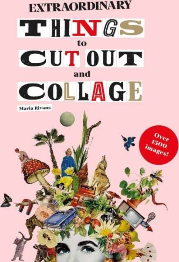 Extraordinary Things to Cut Out and Collage av Maria Rivans