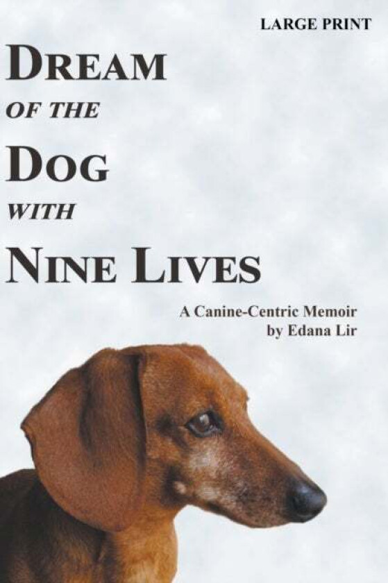 Dream of the Dog with Nine Lives - Large Print Edition av Edana Lir