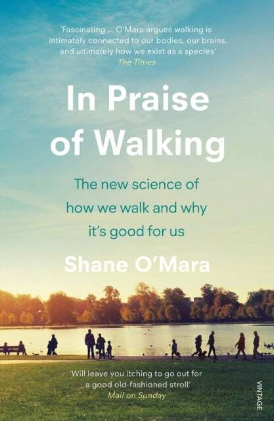 In Praise of Walking av Shane O'Mara