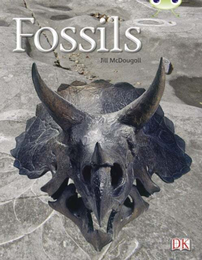 Bug Club Non-fiction Gold A/2B Fossils 6-pack av Jill McDougall