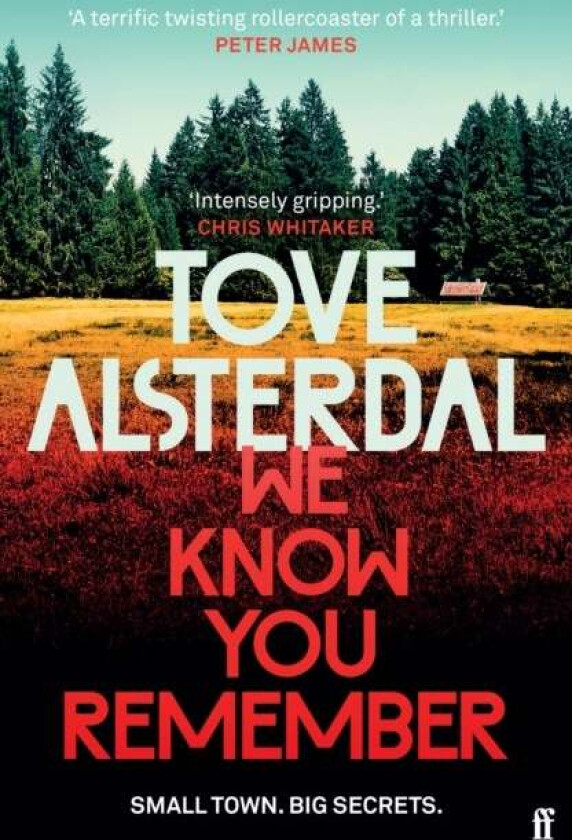 We Know You Remember av Tove Alsterdal