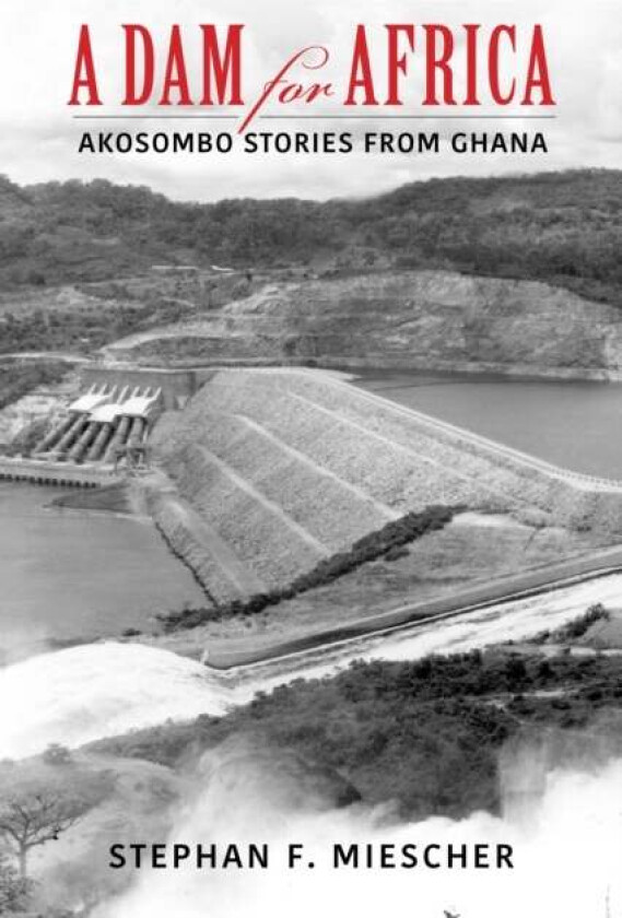A Dam for Africa av Stephan F. Miescher
