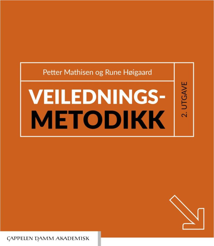 Veiledningsmetodikk av Rune Høigaard, Petter Mathisen