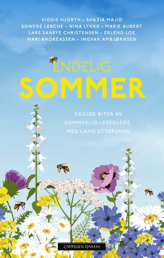 Endelig sommer av Ingvar Ambjørnsen, Mari Andreassen, Marie Aubert, Lars Saabye Christensen, Vigdis Hjorth, Sondre Lerche, Erlend Loe, Nina Lykke, Maj