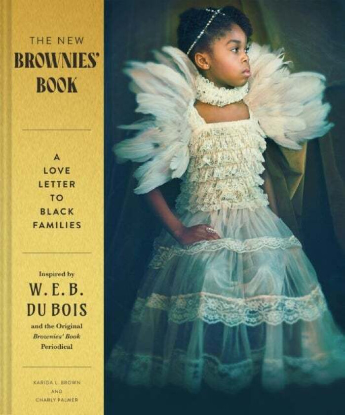 The New Brownies' Book av Charly Palmer, Karida Brown