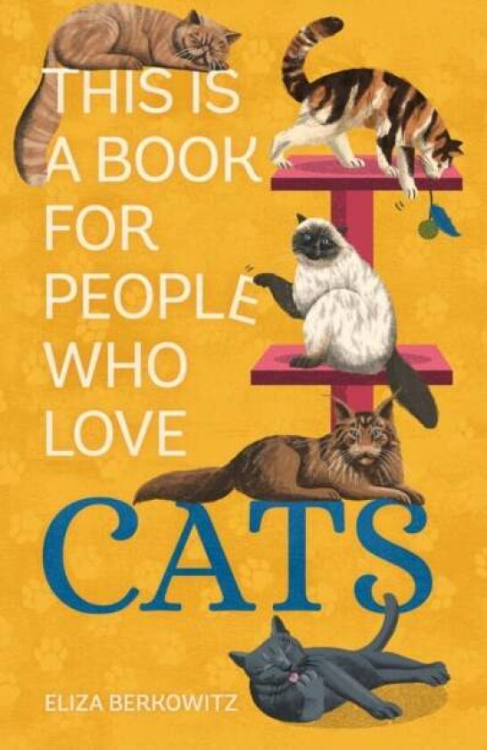 This Is a Book for People Who Love Cats av Eliza Berkowitz