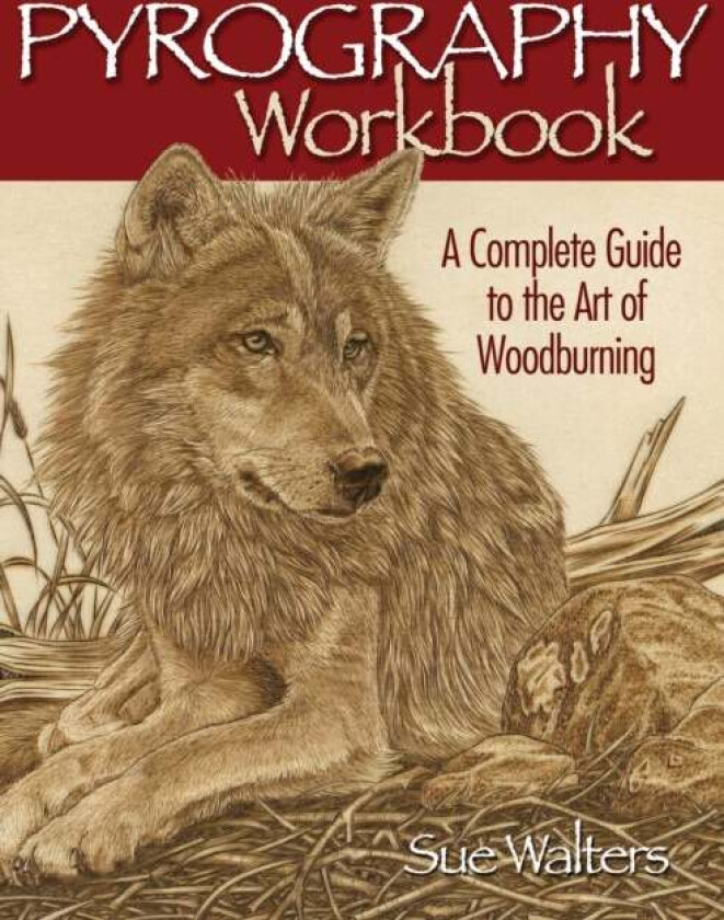 Pyrography Workbook Av Sue Walters