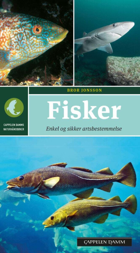 Fisker av Bror Jonsson