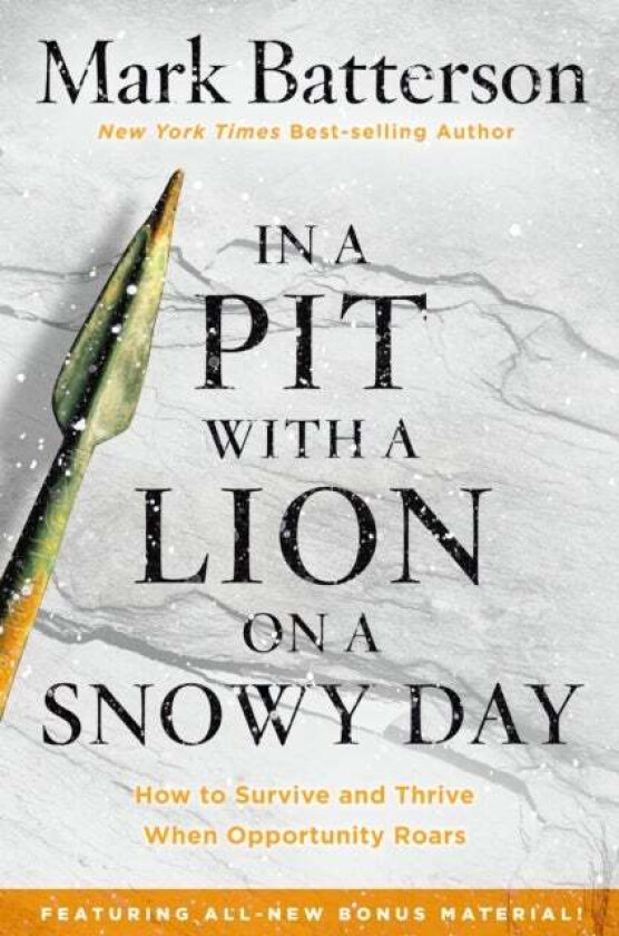 In a Pit with a Lion on a Snowy Day av Mark Batterson