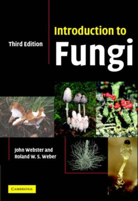 Introduction to Fungi av John (University of Exeter) Webster, Roland (Mycologist Technische Universitat Kaiserslautern Germany) Weber