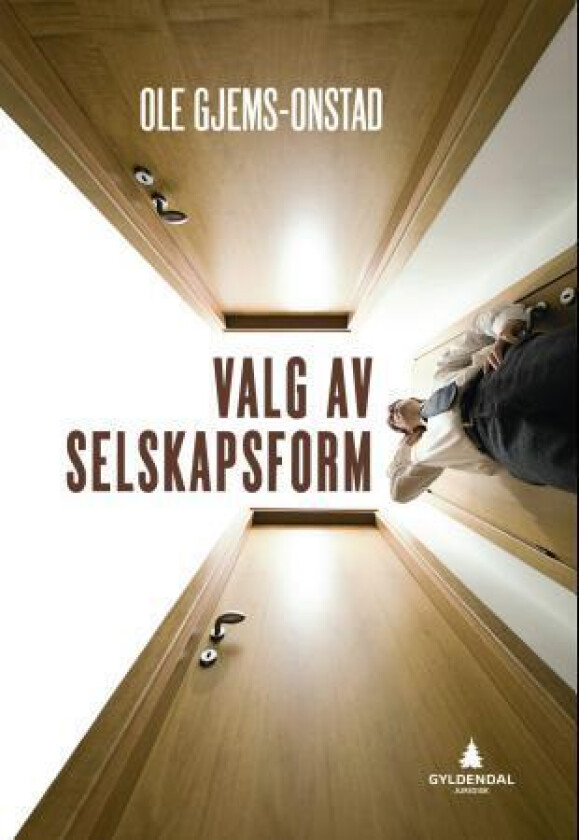 Valg av selskapsform av Ole Gjems-Onstad