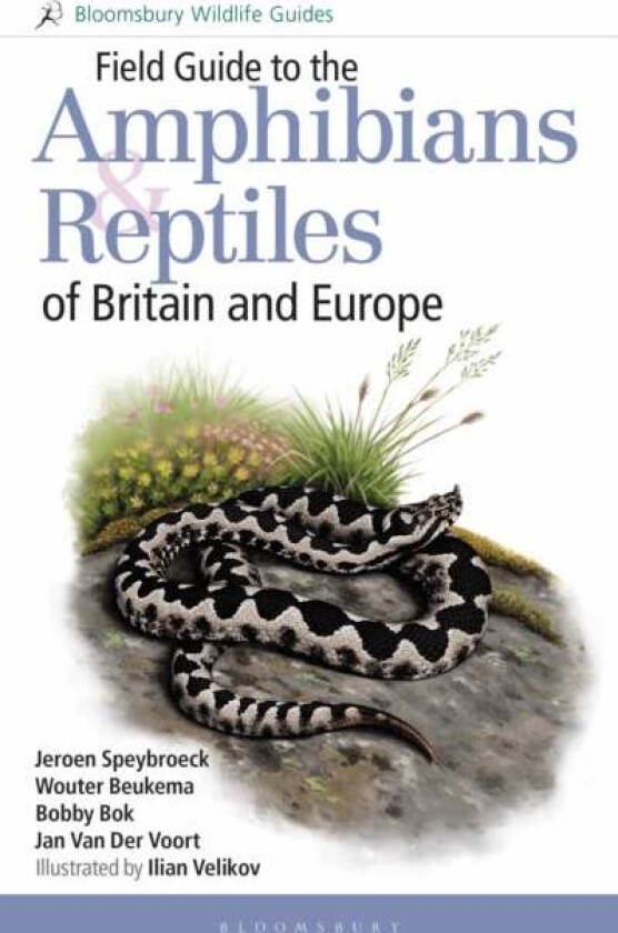 Field Guide to the Amphibians and Reptiles of Britain and Europe av Jeroen Speybroeck, Wouter Beukema, Bobby Bok, Jan Van Der Voort