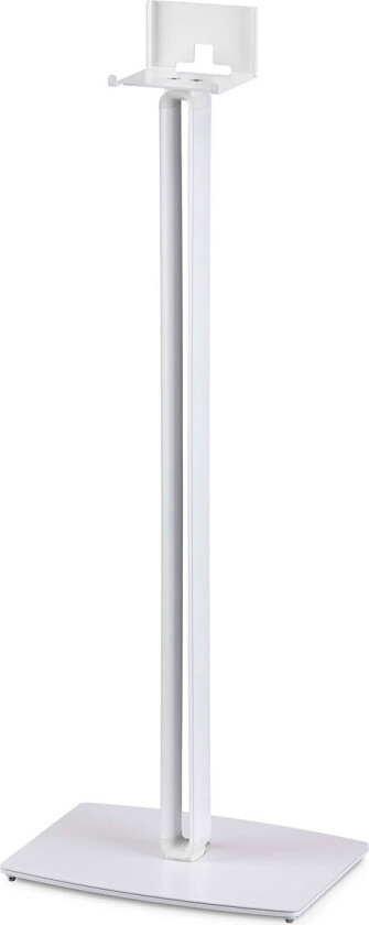 Floor Stand - Stativ - for høyttaler(e) - aluminium, stål - hvit - plassering på gulv - for Bose SoundTouch 10