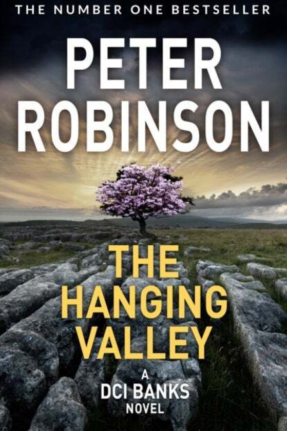 The Hanging Valley av Peter Robinson