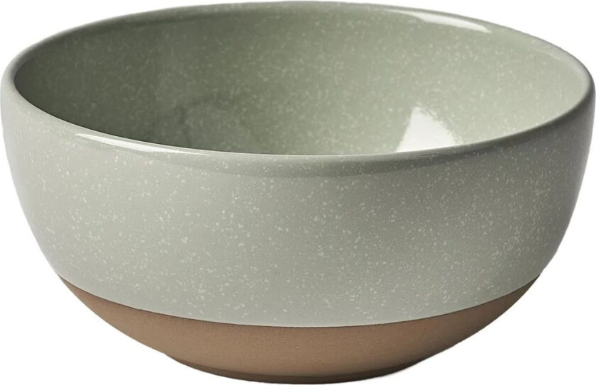 Fossil skål 60 cl Grønn