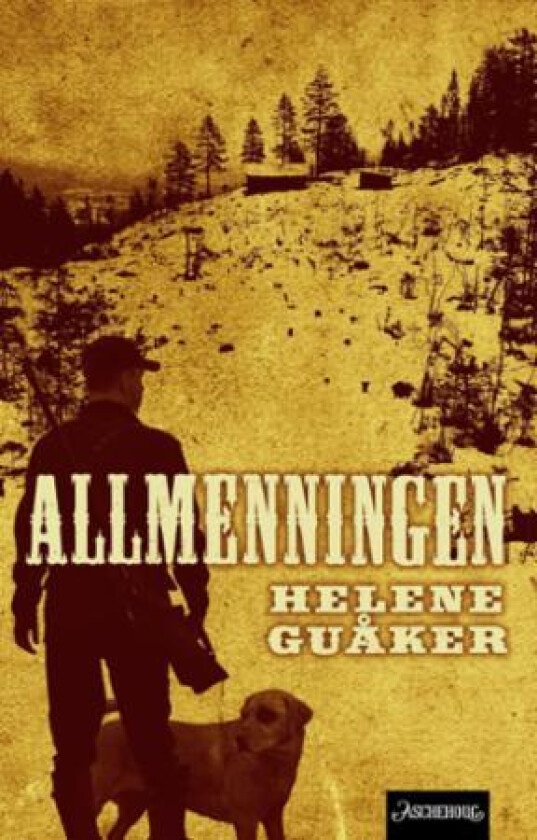 Allmenningen av Helene Guåker