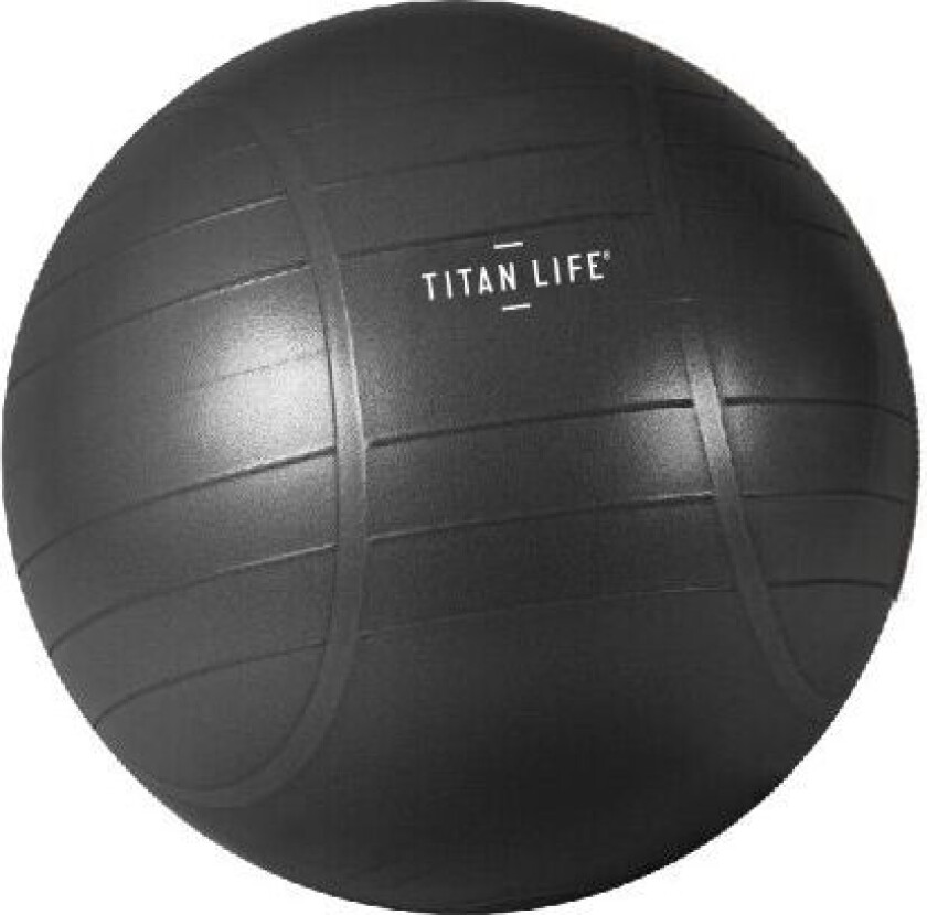 Bilde av Titan Life PRO Gymball