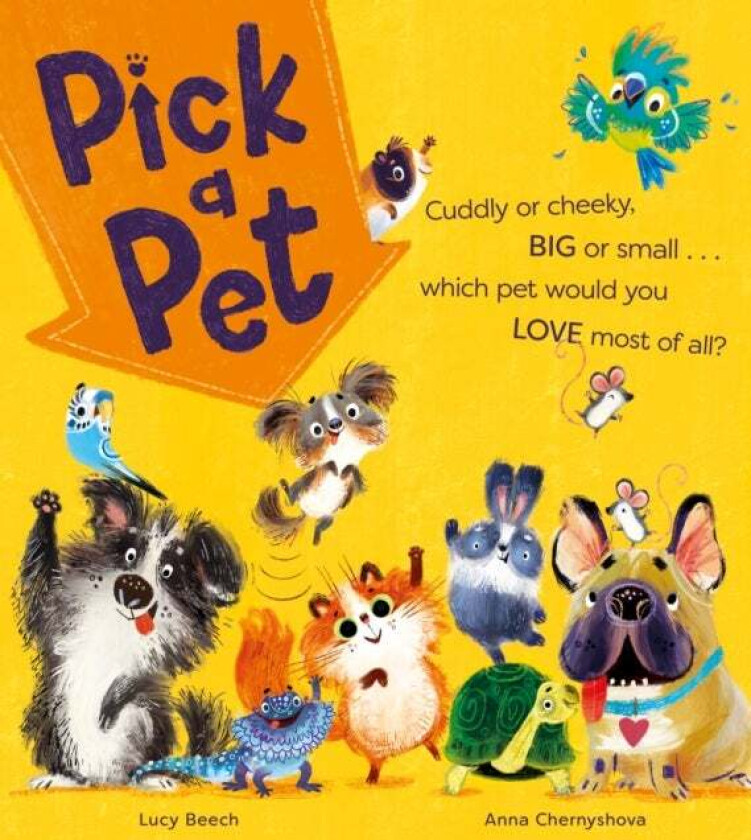 Pick a Pet av Lucy Beech