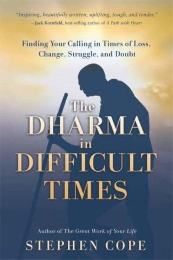 The Dharma in Difficult Times av Stephen Cope