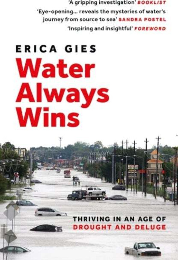 Water Always Wins av Erica Gies