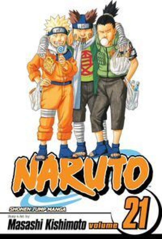 Naruto, Vol. 21 av Masashi Kishimoto