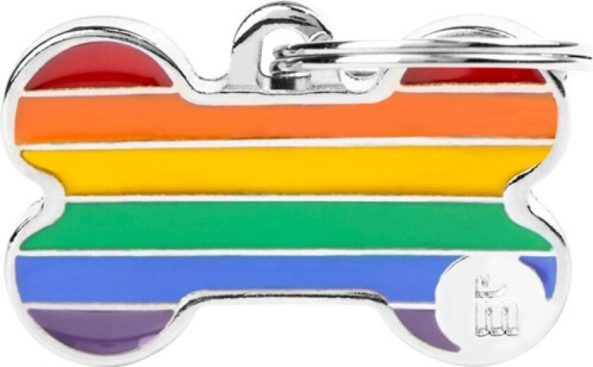 Rainbow Small Bone ID Tag