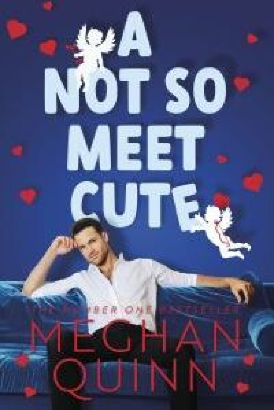 A Not So Meet Cute av Meghan Quinn
