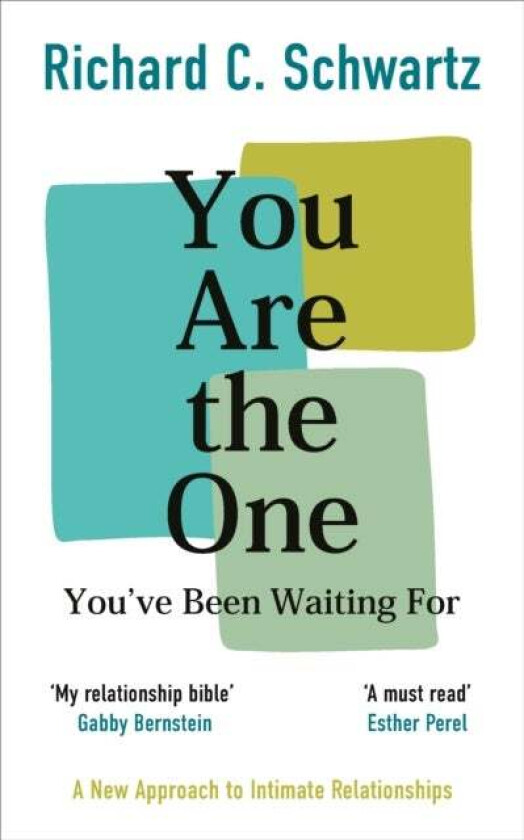 You Are the One You've Been Waiting For av Richard Schwartz