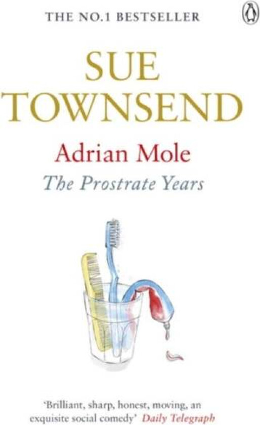 Adrian Mole: The Prostrate Years av Sue Townsend