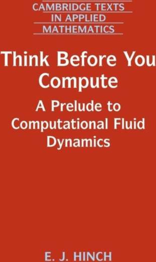 Think Before You Compute av E. J. (University of Cambridge) Hinch