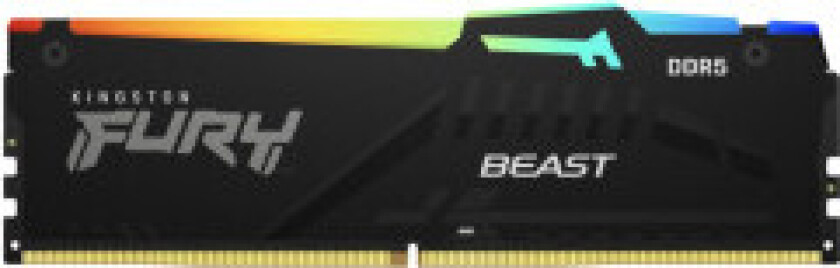 FURY Beast RGB DDR5-5200 C36 SC - 8GB (AMD EXPO)