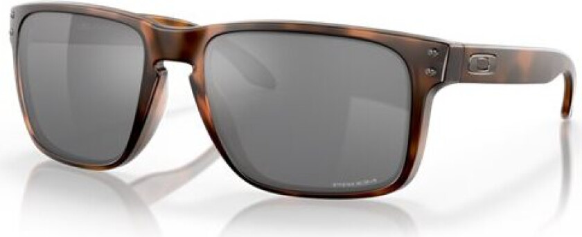 Holbrook Xl Matte Brown Tortoise W/Prizm Black OS