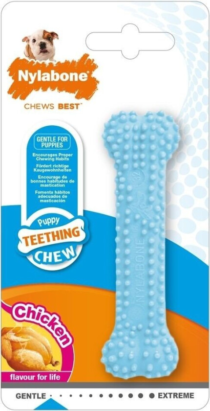 Nylabone Puppy Teething Dental Chew Blå