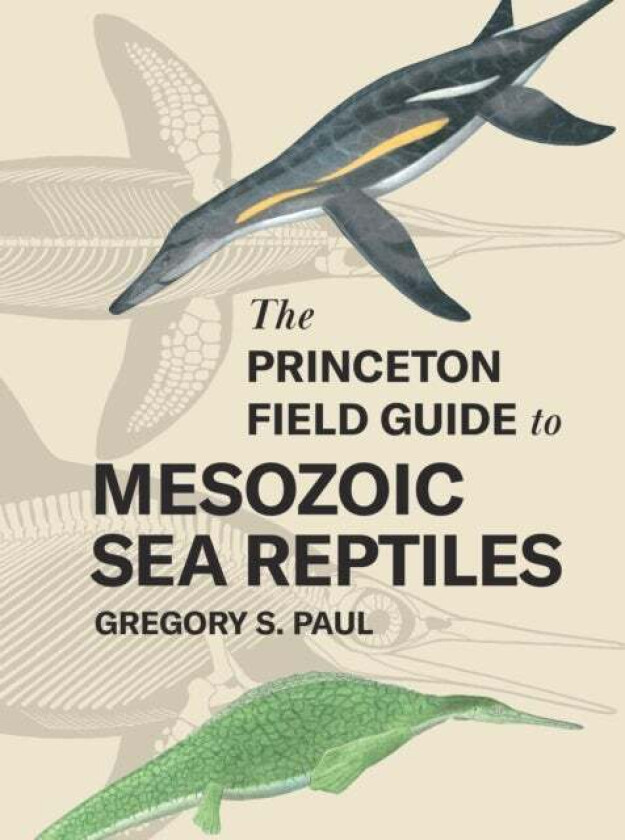 The Princeton Field Guide to Mesozoic Sea Reptiles av Gregory S. Paul