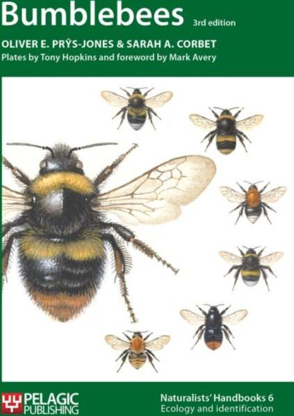 Bumblebees av Oliver E. Prys-Jones, Sarah A. Corbet